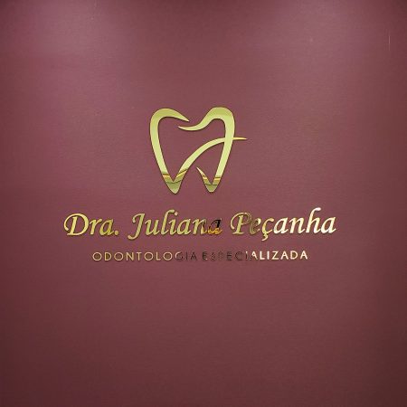 juliana-peçanha-carrossel